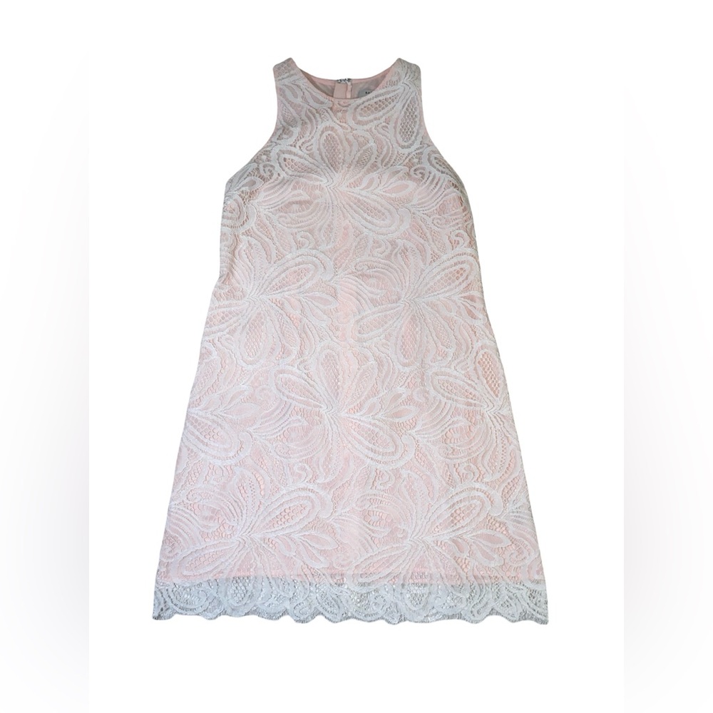 Aritzia | Babaton Henry lace dress pink and white size‎ 6